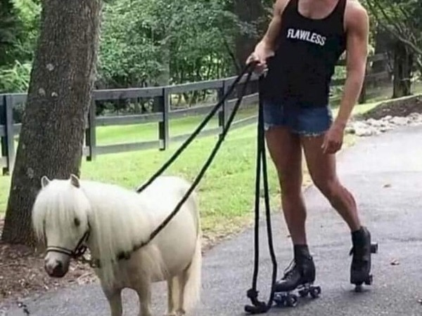 "Принц на бял кон"