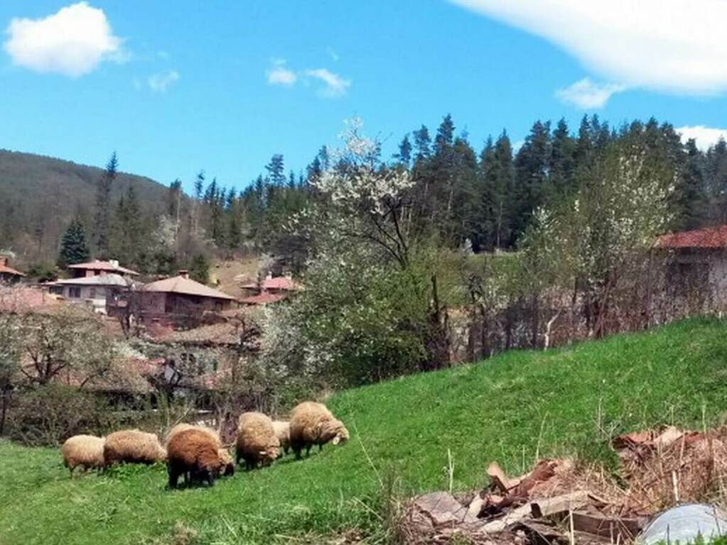 Простотата на живота