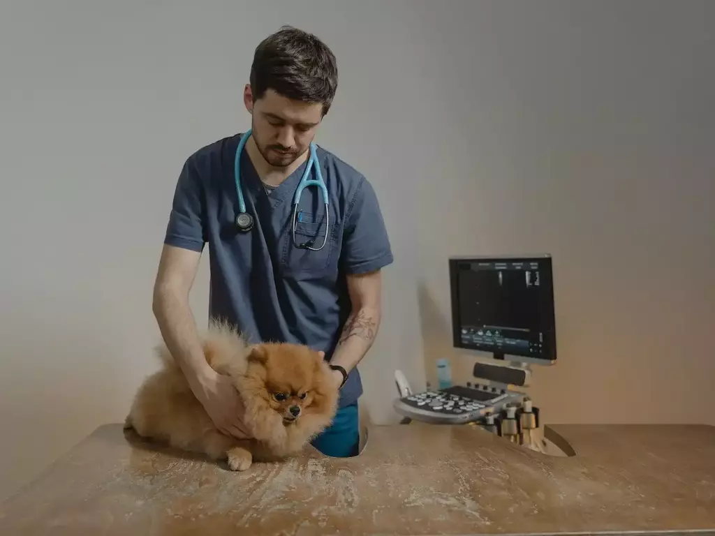 Списък с ключови ветеринарни клиники и кабинети в София