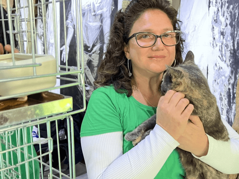 Първа по рода си изложба на спасени бездомни котки в Русе