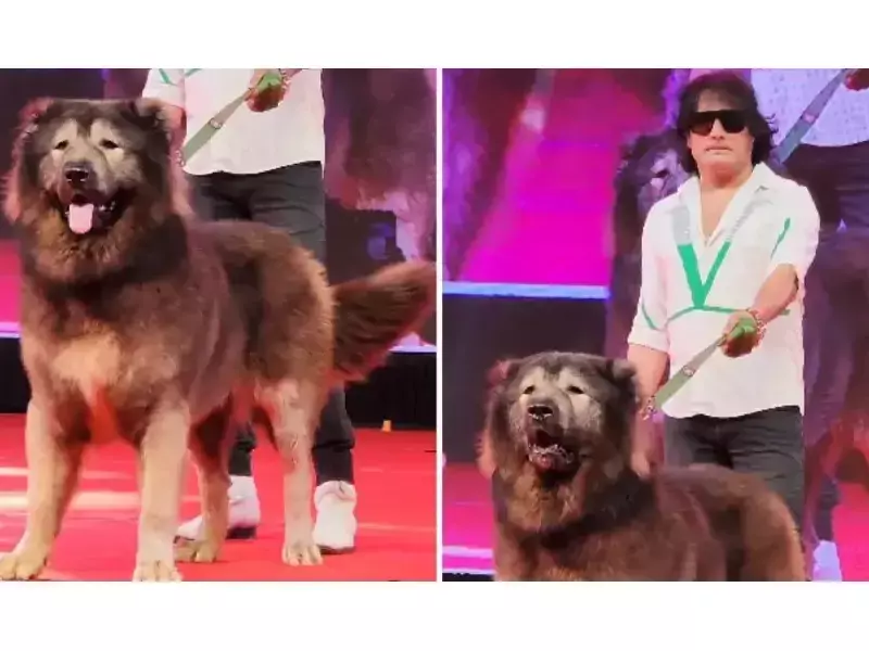 Продадоха най-скъпото куче в света за над 4 млн. паунда