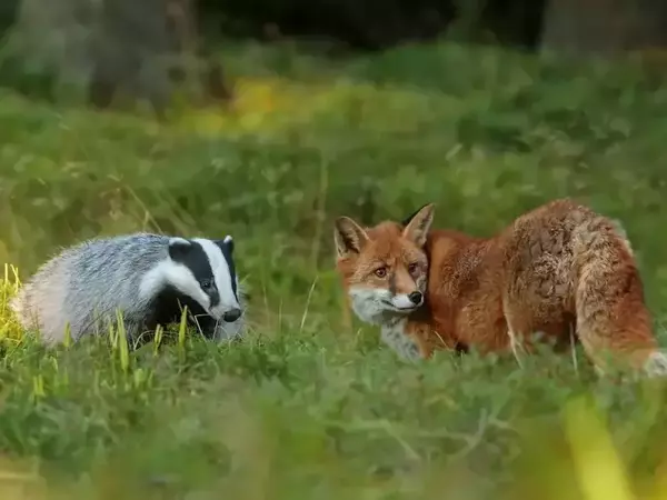 Wild Trails Adventures