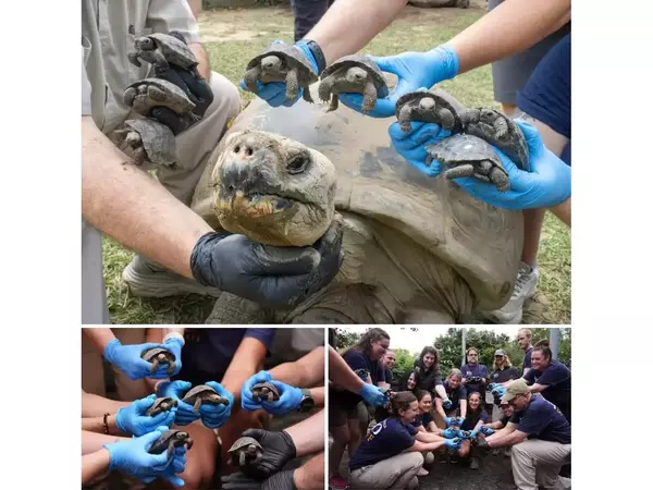 Чудо на природата: За първи път майка на 97 години!